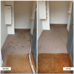 Commercial Carpet Cleaning