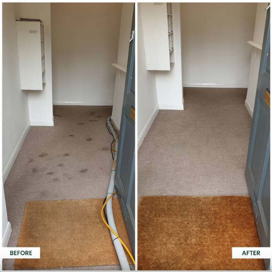 Commercial Carpet Cleaning