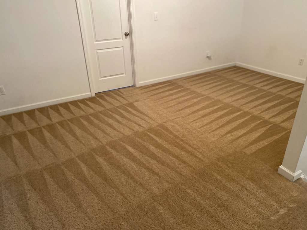 carpet Cleaning