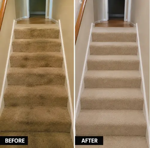 Carpet Cleaning Service in Berewick Charlotte