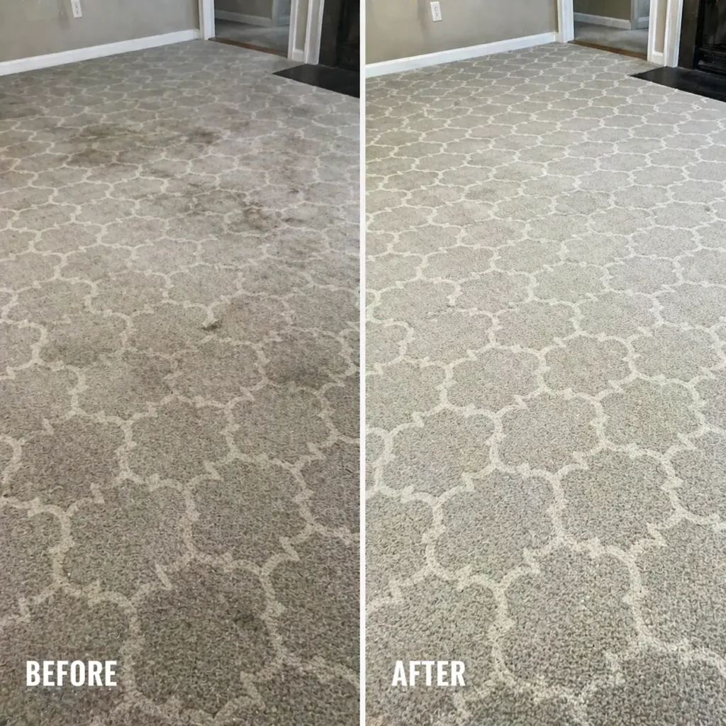 Carpet Cleaning Service in Olde Whitehall